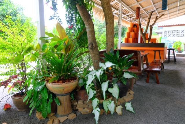 Smile Hostel Koh Phangan Ngoại thất bức ảnh